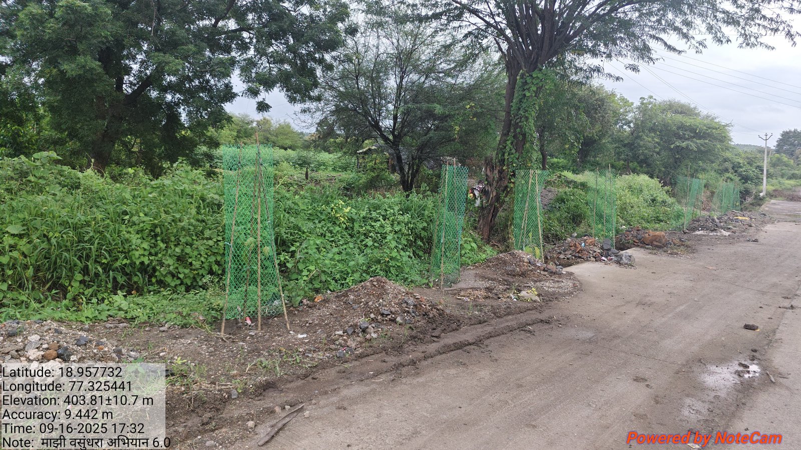 वृक्ष लागवड व संगोपन